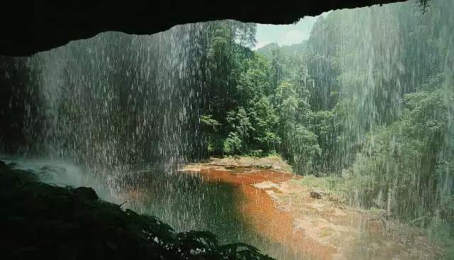 数码宝贝8